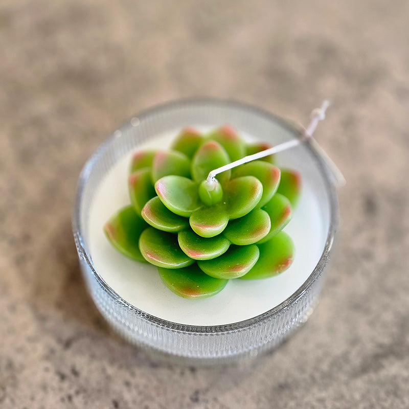 Succulent Soy Candles- 3 Styles
