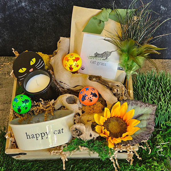 Happy Cat Box