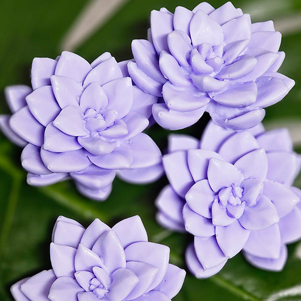 succulent soapery Mini Succulent Soaps- 3 colors