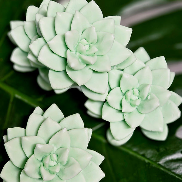 succulent soapery Mini Succulent Soaps- 3 colors