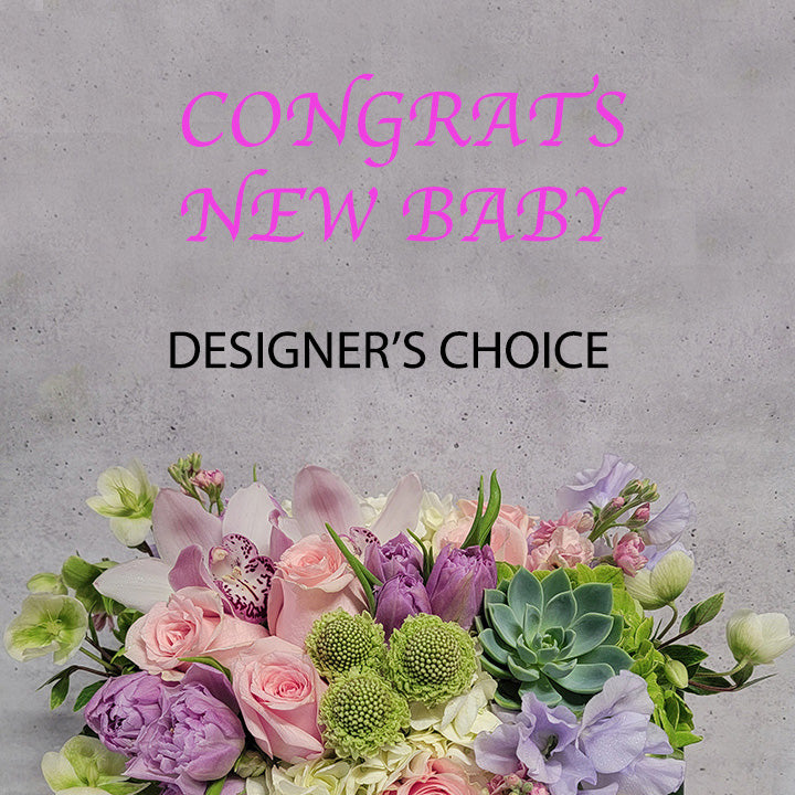 Designer&#39;s Choice- New Baby