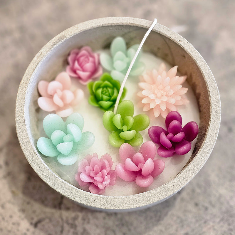 Succulent Soy Candles- 3 Styles