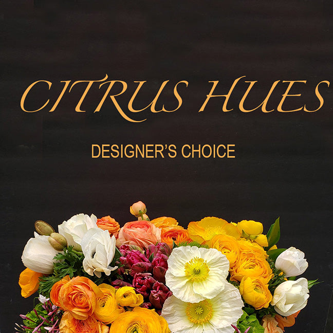 Designer&#39;s Choice- Citrus Hues