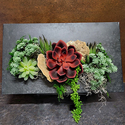 faux succulent plant arrangements Faux Succulents in Rectangular Galvanized Metal (Wall Hanger)