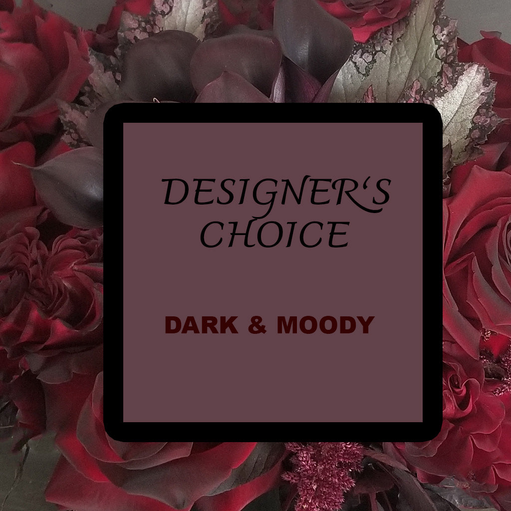 Designer's Choice- Dark & Moody
