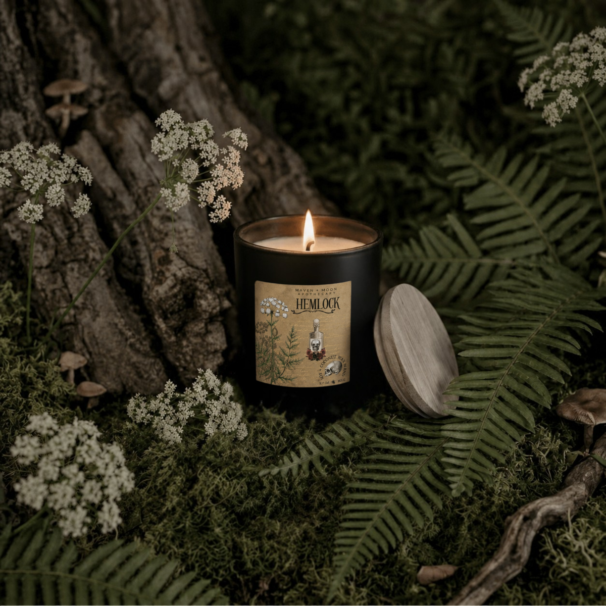 Hemlock Candle | Baneful Herbs Collection | 5.75 oz