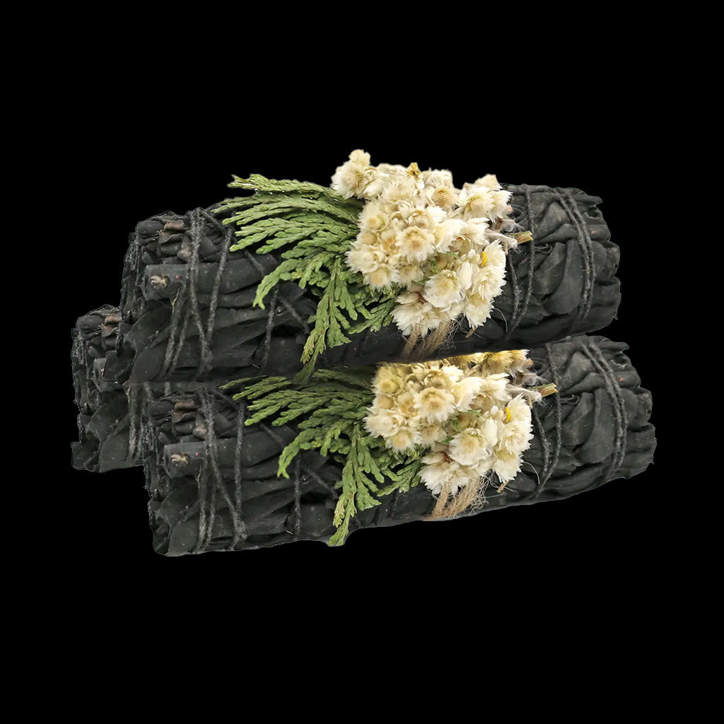 Midnight Bloom- 4" White Sage