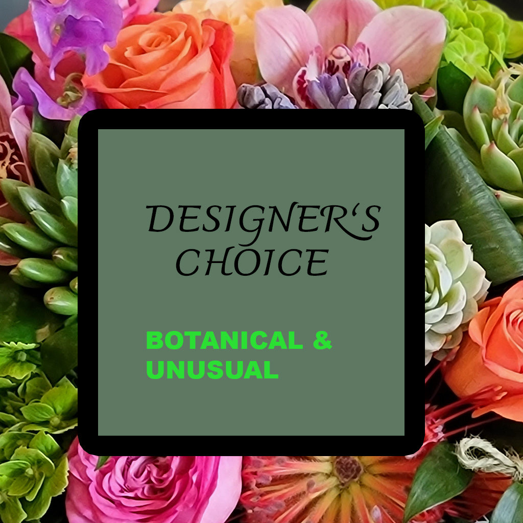 Designer's Choice- Botanical & Unusual