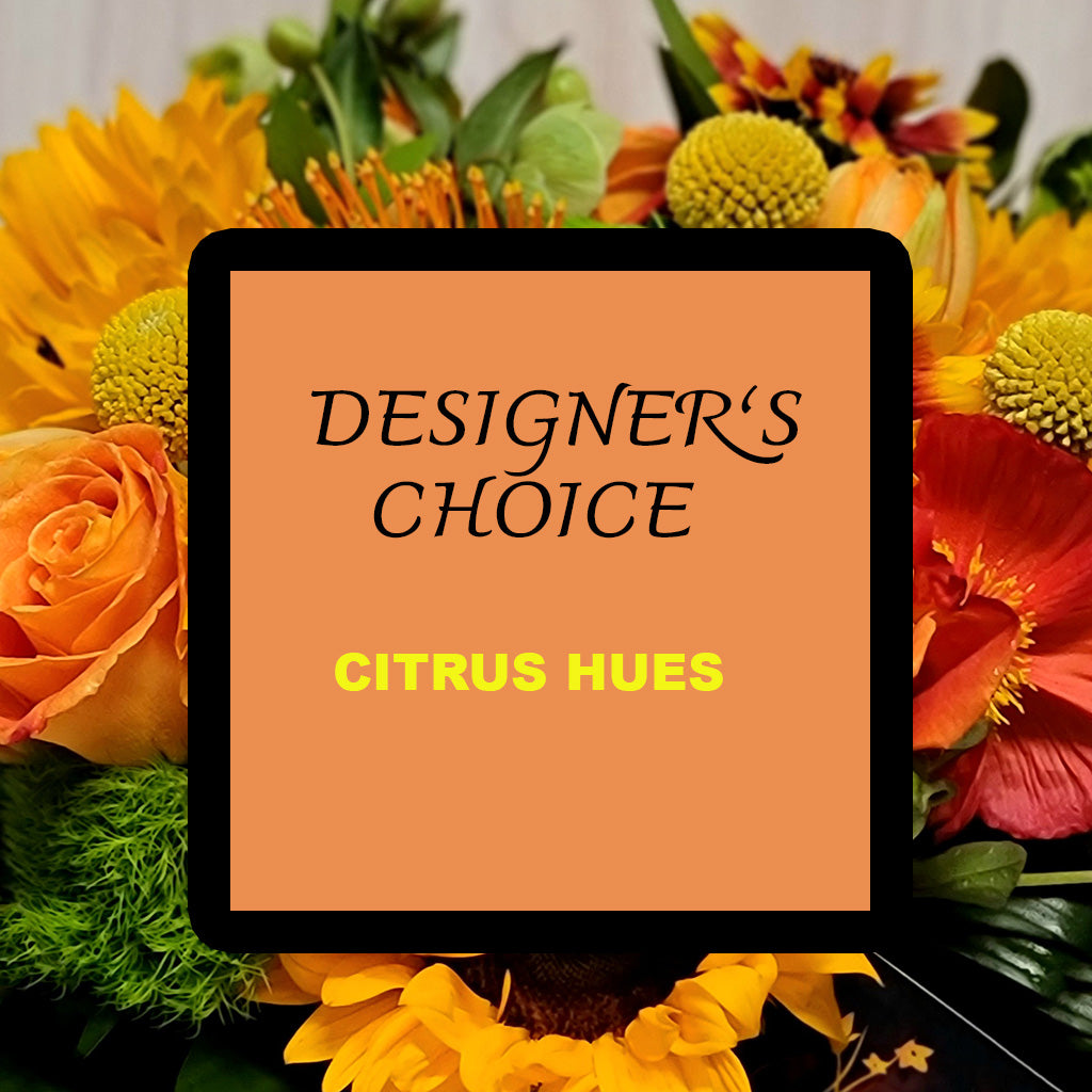 Designer's Choice- Citrus Hues