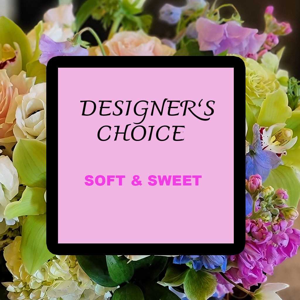 Designer's Choice- Pastel Hues