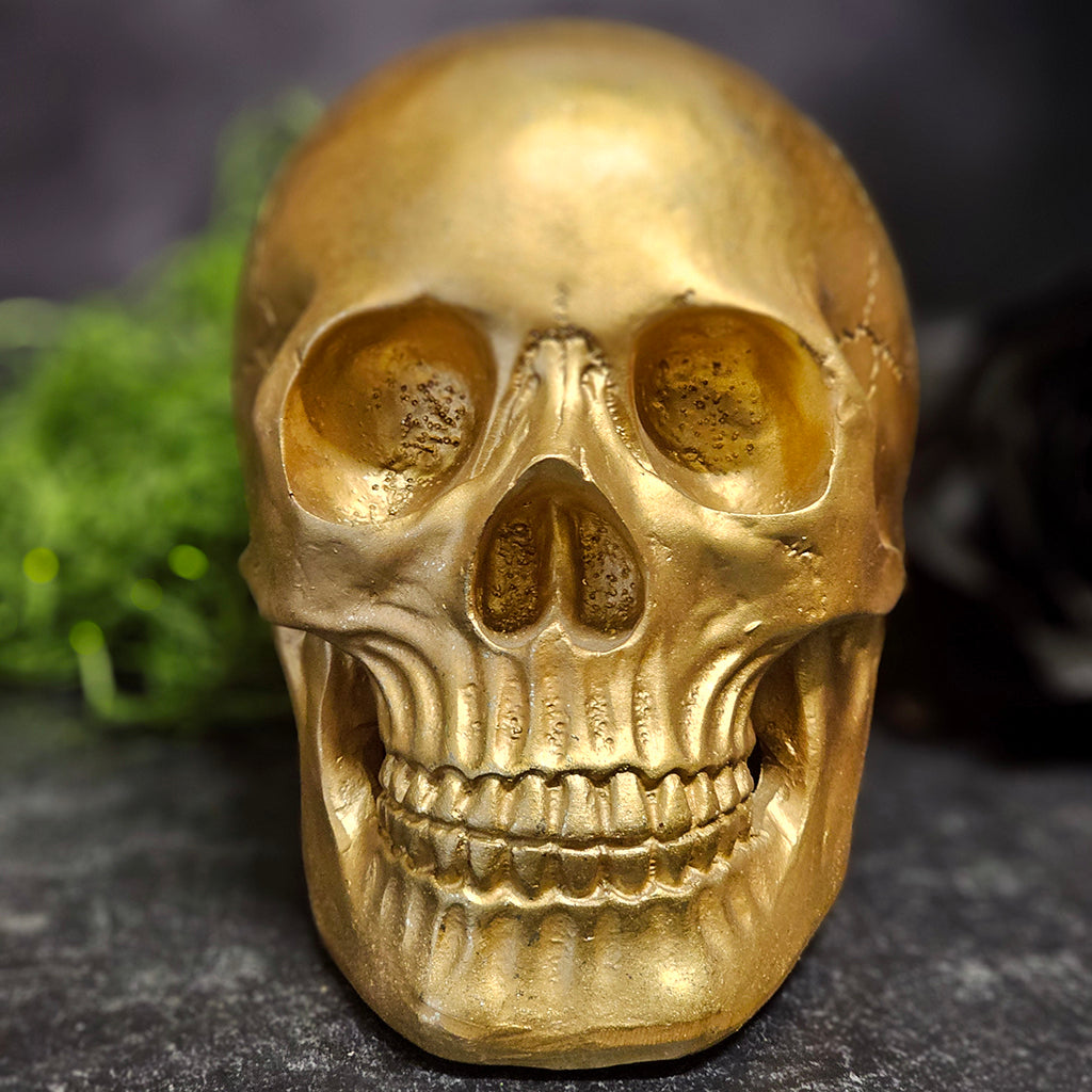Copper Hued Skull