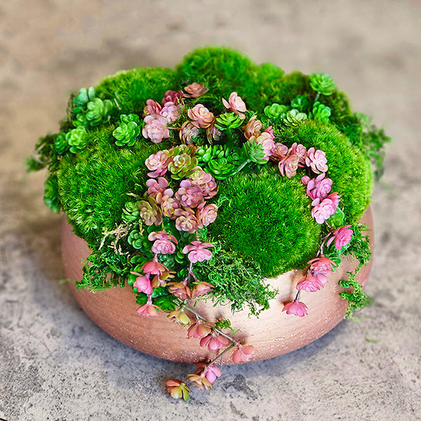 Mecca Moss Bowl w/hanging Rosette Succulents