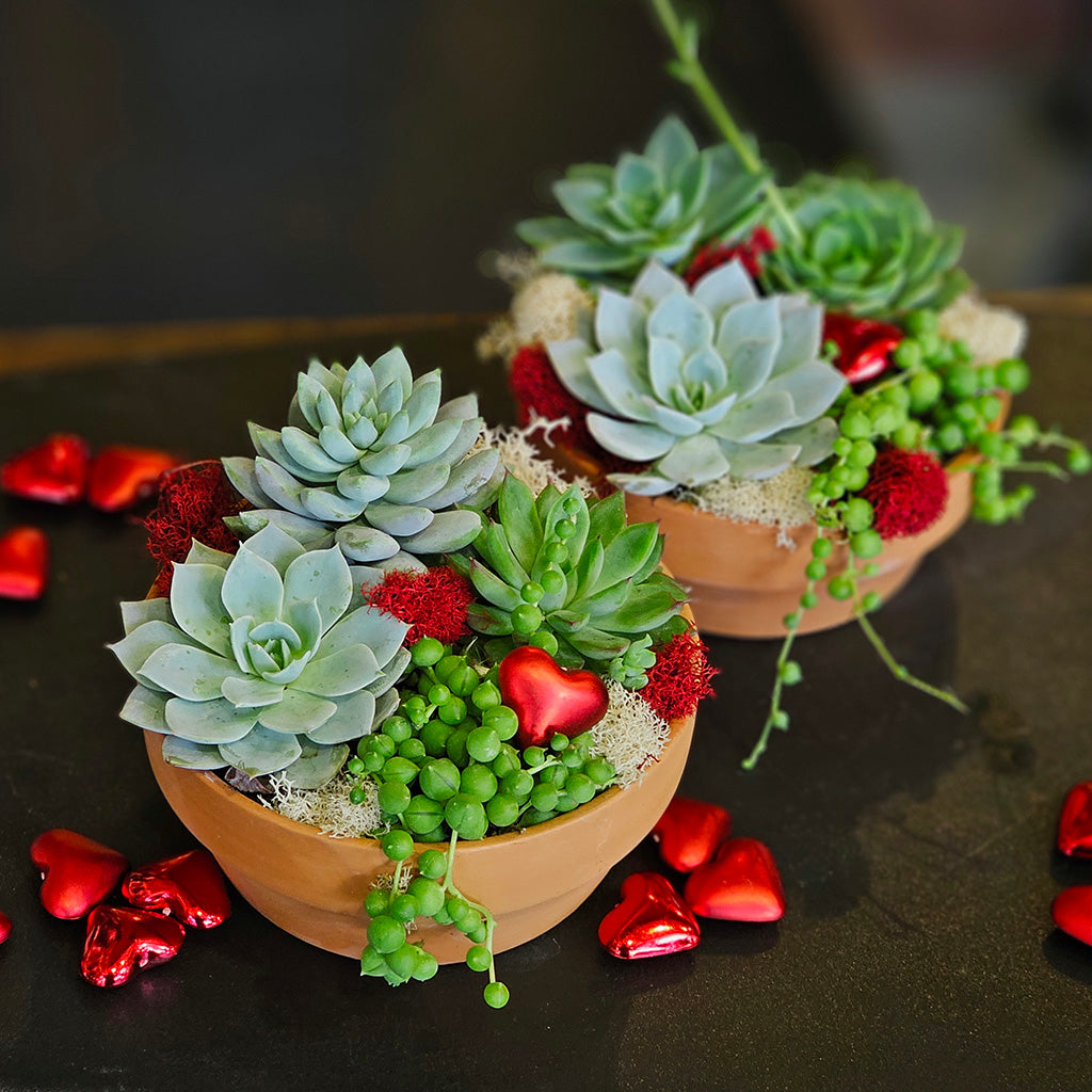 Mini Succulent Planter