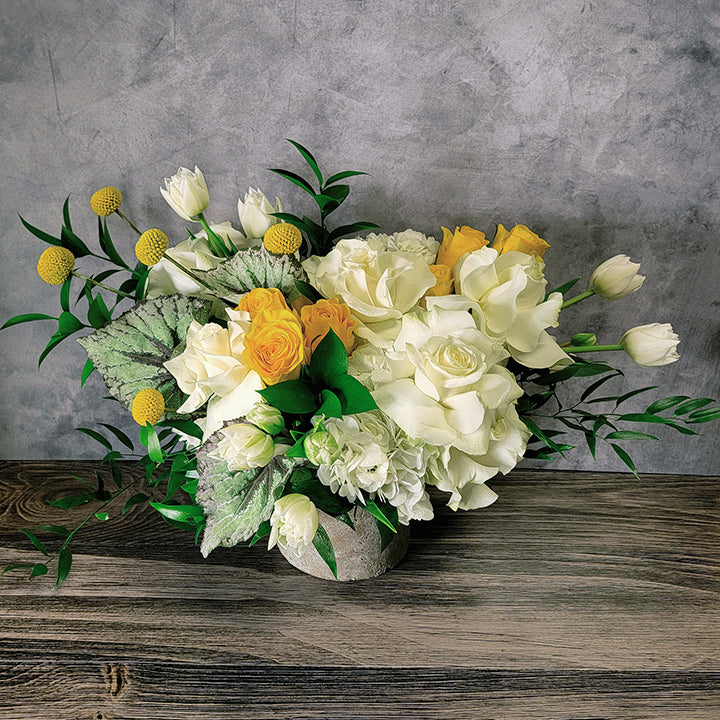 Still Life