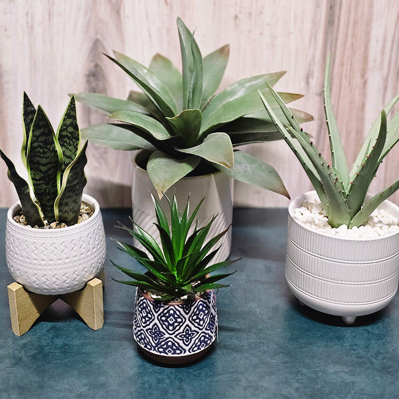 Faux Succulent Plants