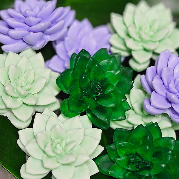 Mini Succulent Soaps- 3 colors