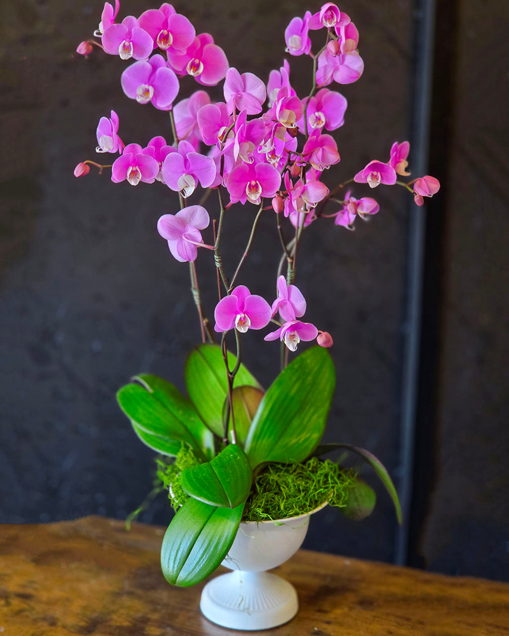 Triple Stem Purple Orchid Planter- Limited Availability at a Special Price