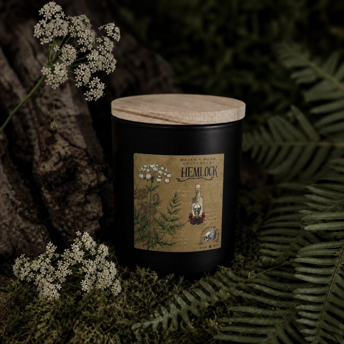 Hemlock Candle | Baneful Herbs Collection | 5.75 oz