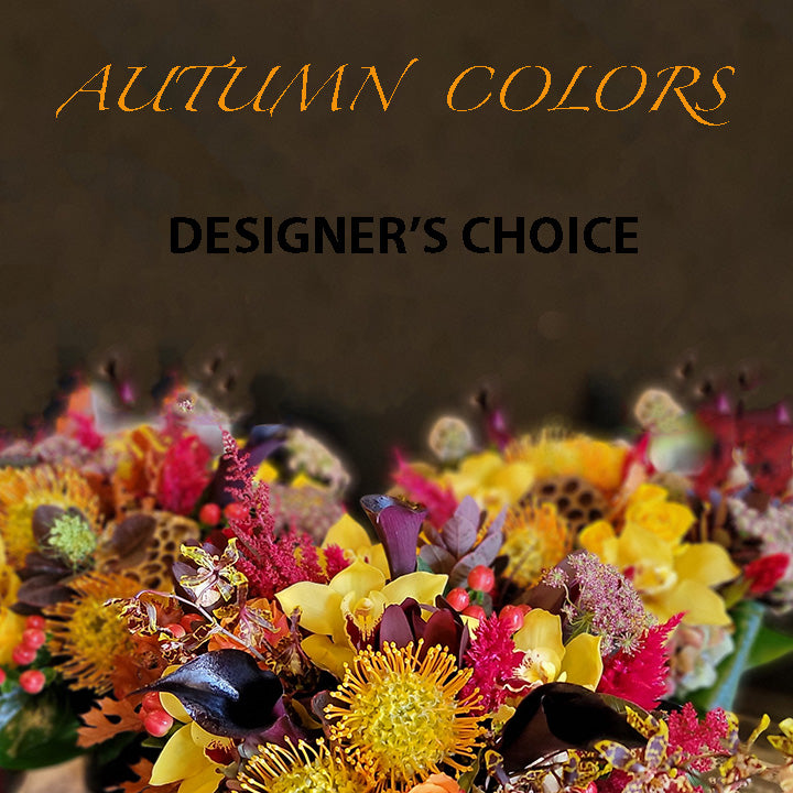 Designer&#39;s Choice- Autumnal Colors