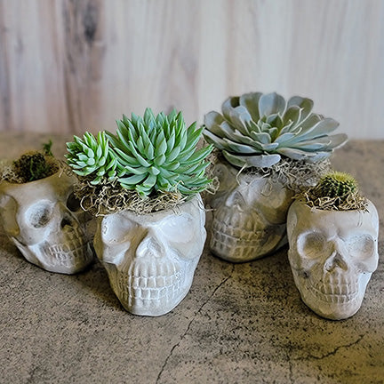 Cement Skull Planters- 2 Sizes